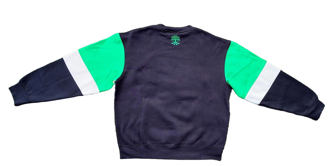 AUSTIN FC COLLEGIATE COLOR BLOCK CREWNECK